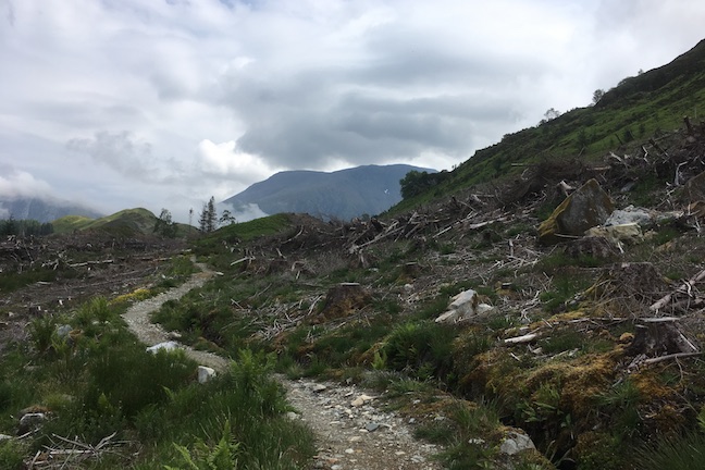 Clearcut forests outside of Fort William, Scotland