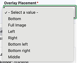 overlay placement dropdown menu